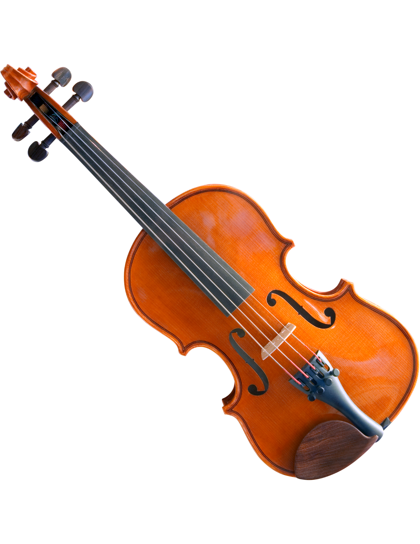 Violin - Educator Series
